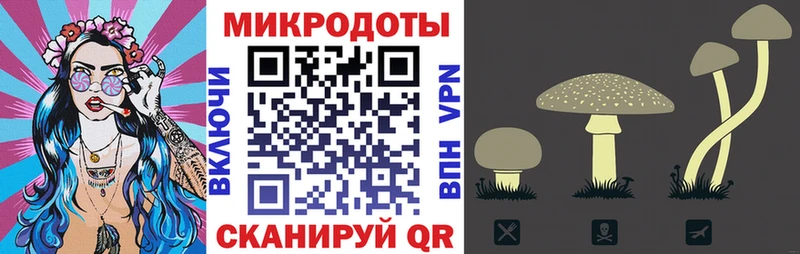 купить наркоту  Брянск  Галлюциногенные грибы мицелий 